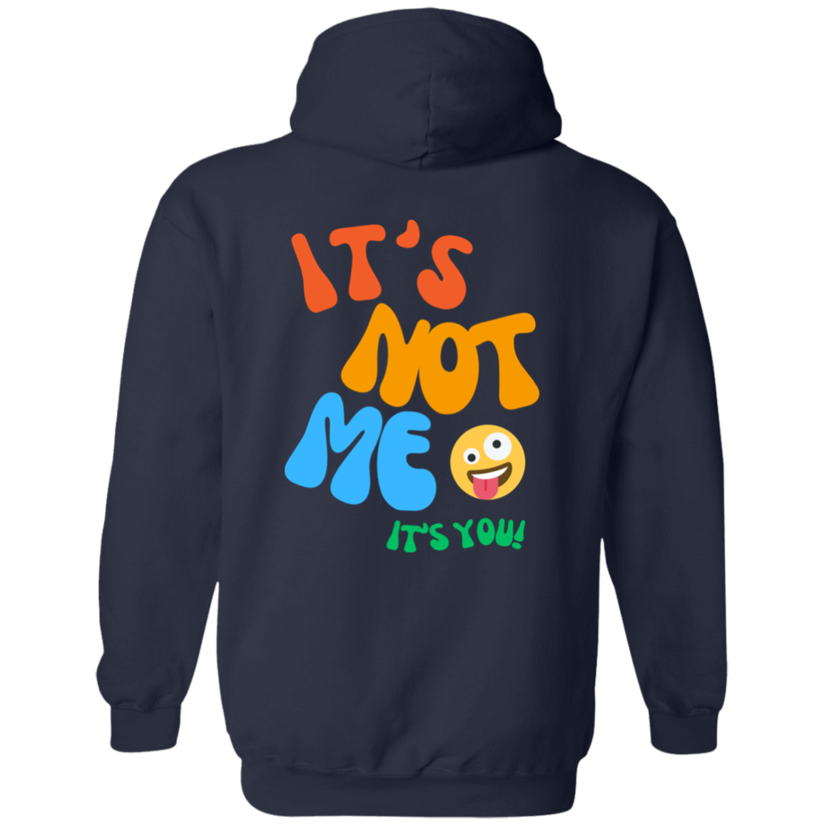 Its Not Me Its You It's You Hoodie