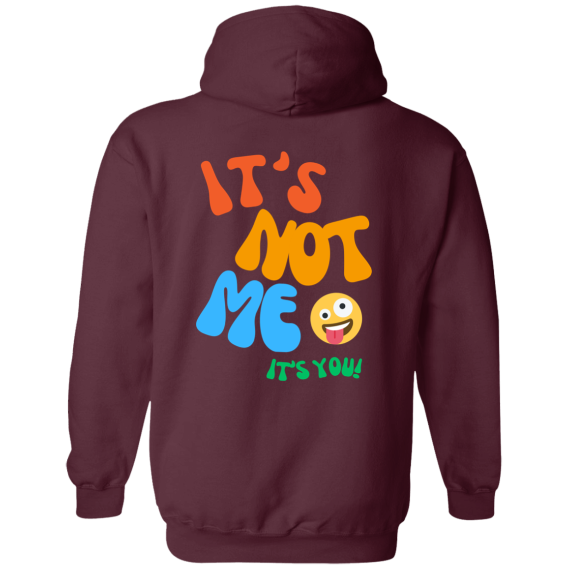 Its Not Me Its You It's You Hoodie