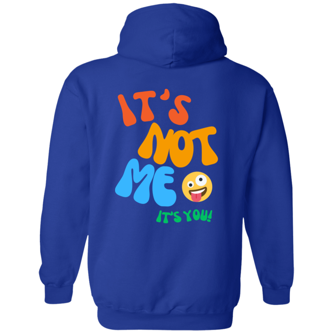 Its Not Me Its You It's You Hoodie